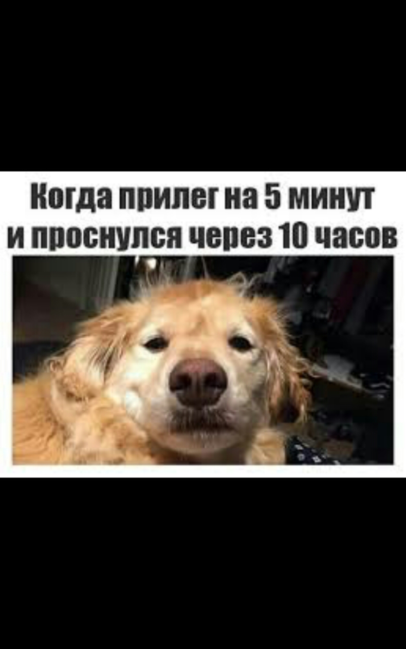 ноша ппипег на 5 минут и ппоснупся чепвз 10 часов