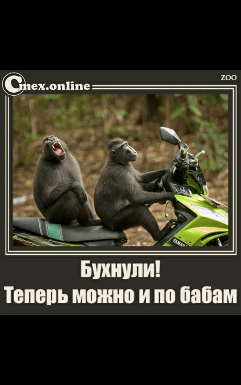 Битти Тепепь можно и по папам