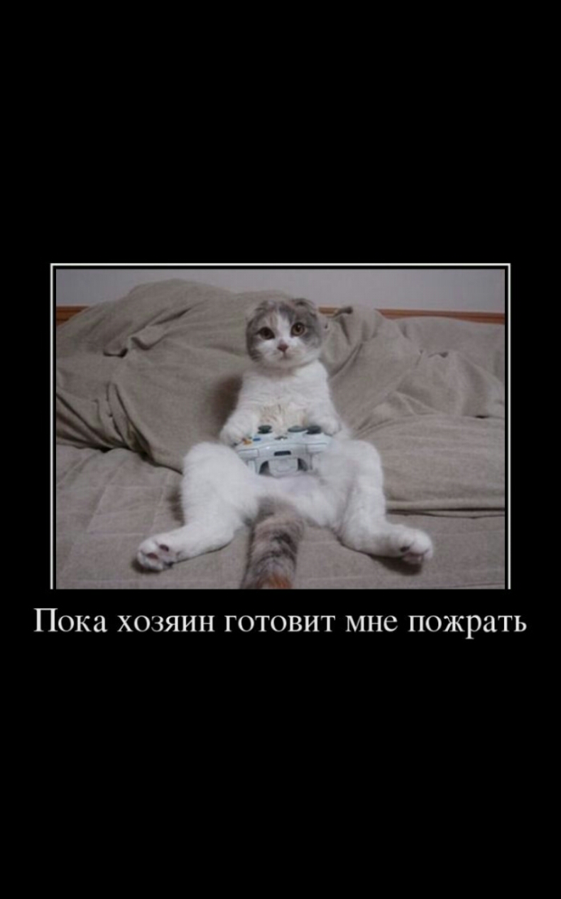 Пока ХОЗЯИН ГОТОВИТ мне ПОЖРЗТЬ