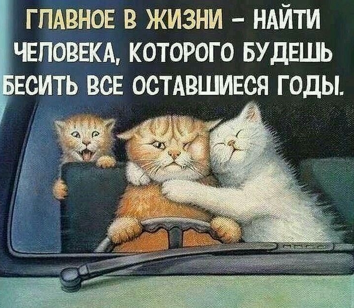 ГЛАВНОЕ В ЖИЗНИ НАЙТИ ЧЕЛОВЕКА КОТОРОГО БУДЕШЬ ЕСИТЬ ВСЕ ОСТАВШИЕСЯ ГОДЫ