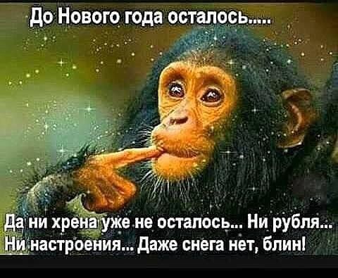 дДоНовою года осталось _ й хредв _ене истёк НИруЁпл настроенп даже визга нёт Блин