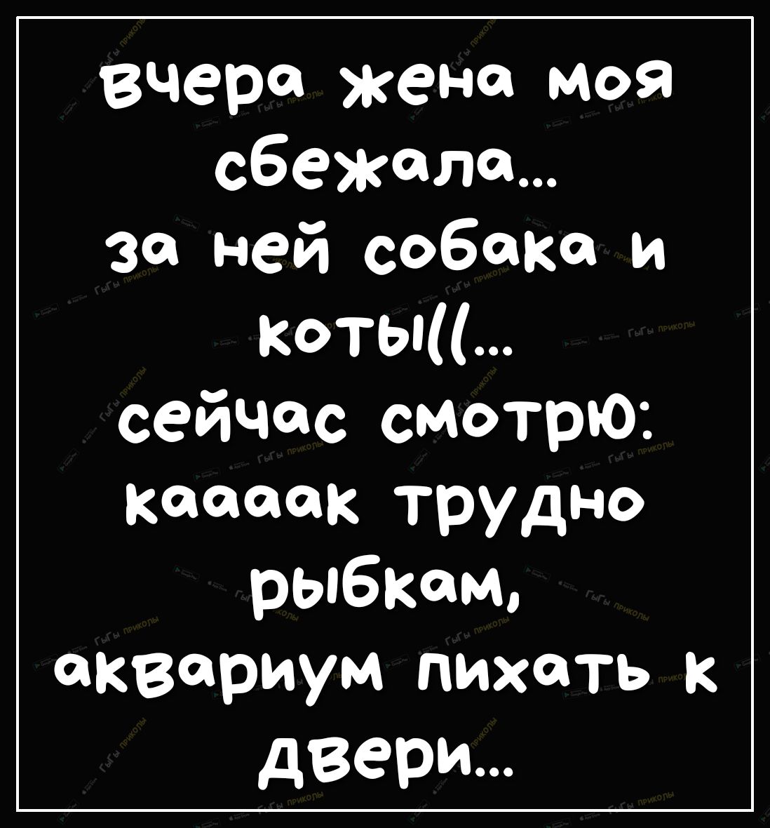 вчера жена моя сбежала за ней собака и коты сейчас смотрю ксюша трудно рыбкам аквариум пихать двери