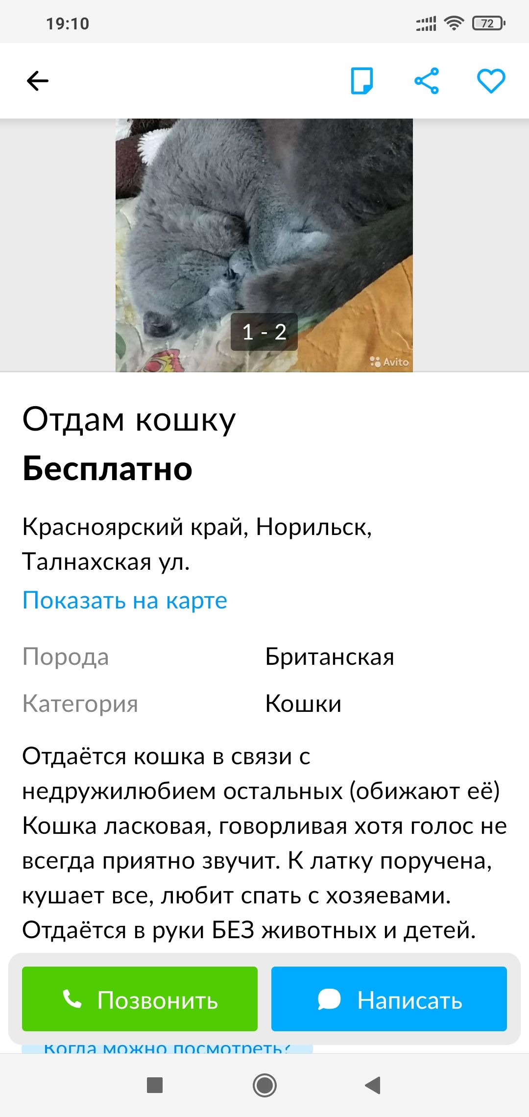 Отдам кошку Бесплатно Красноярский край Норильск Талнахская ул Показать на карте Порода Британская Категория Кошки Отдаётся кошка в связи с недружилюбием остальных обижают её Кошка ласковая говорливая хотя голос не всегда приятно звучит К латку поручена кушает все любит спать с хозяевами Отдаётся в руки БЕЗ животных и детей Позвонить Написать КПГПЯ МОЖНО ППГМПТПРТЬ