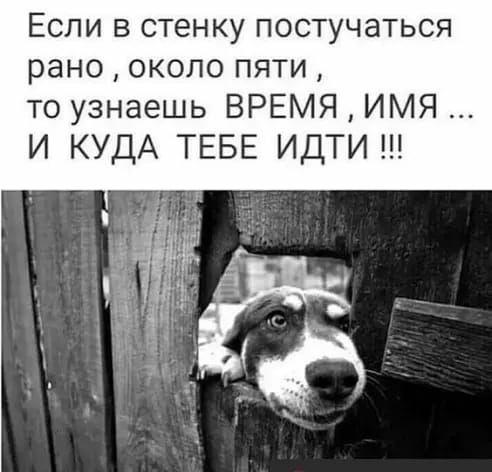 Если в стенку постучаться рано около пяти то узнаешь ВРЕМЯ ИМЯ И КУДА ТЕБЕ ИДТИ