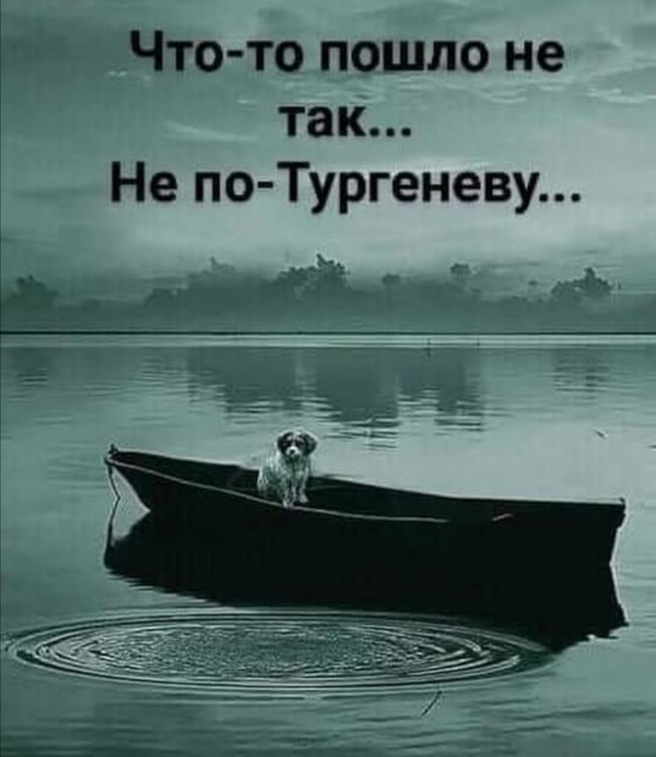 Что то пошло не так Не по Тургеневу