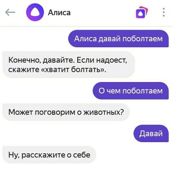 о Алиса Конечно давайте Еспи надоест скажите хватит болтать 0 чем поболтаем Может поговорим о животных Давай Ну расскажите о себе