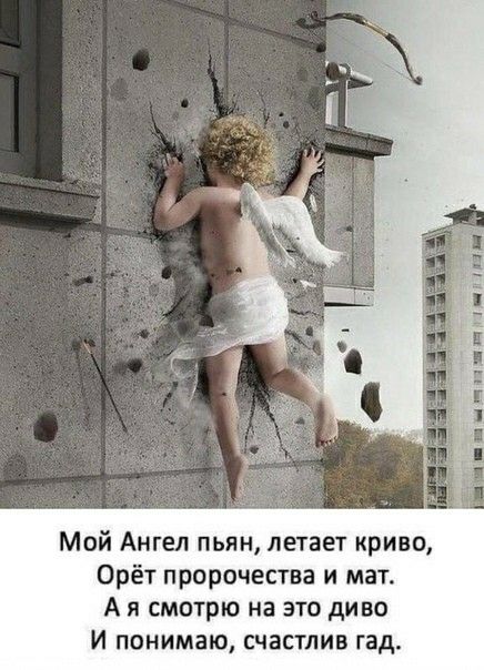 Мой Ангел пьян летает криво Орёт пророчества и мат А я смотрю на это диво И понимаю счастлив гад