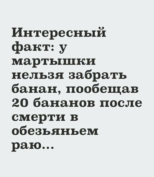 Интересный факт у мартышни нельзя забрать банан пообещав 20 бананов после смерти в обезьяньем раю