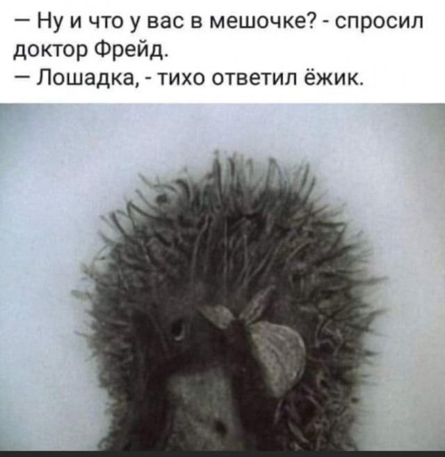 Ну и что у вас в мешочке спросил доктор Фрейд Лошадка тихо ответил ёжик