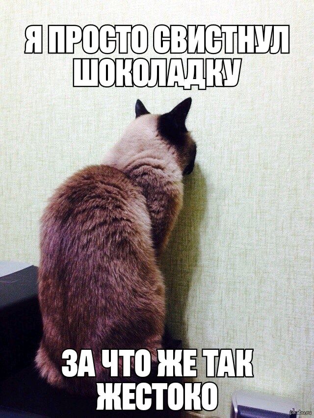 Ш шонолдднш зджчтоёжн ЕЕШ жютоно _