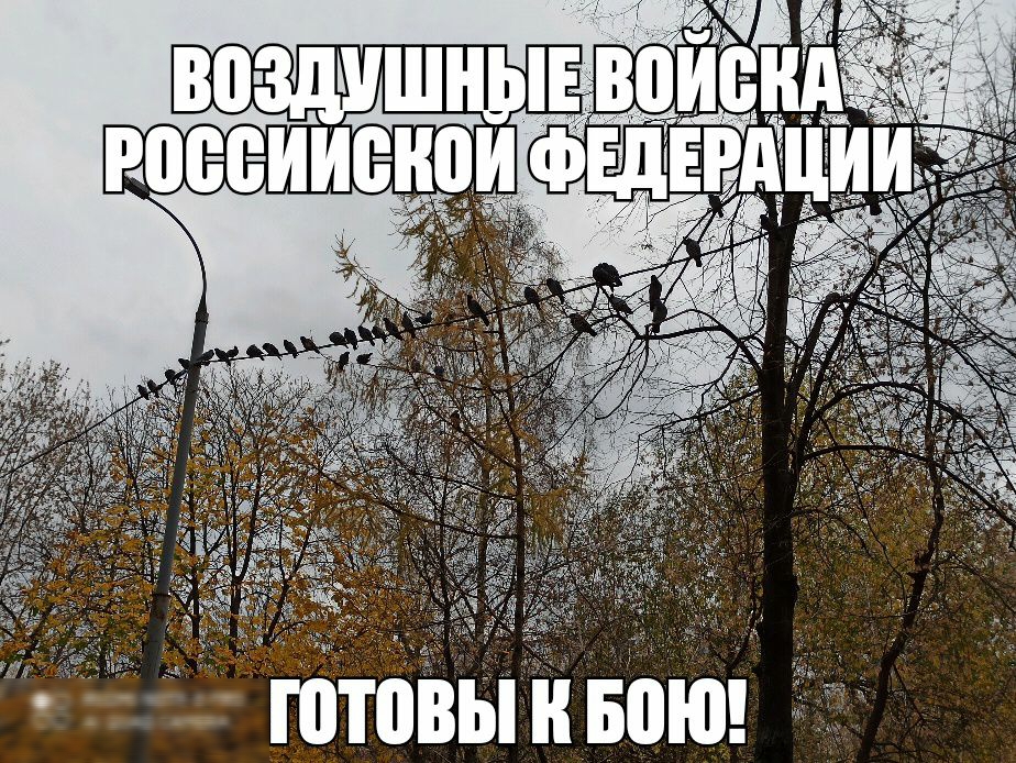 готовы и вою