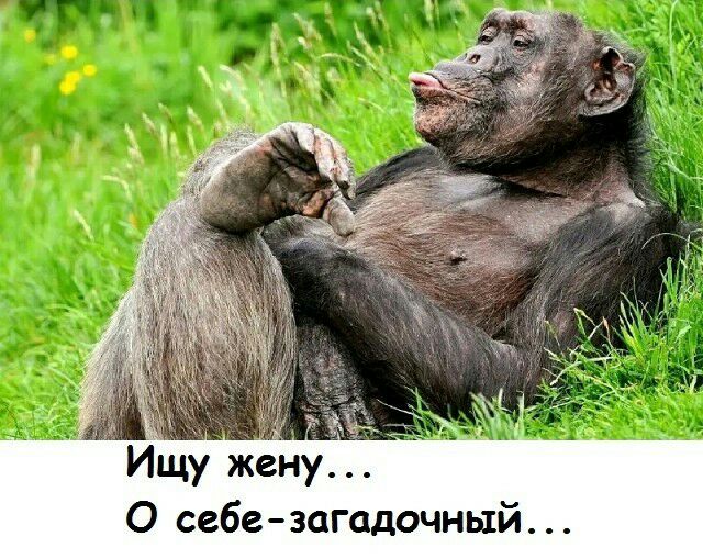 х Ищу жену О себе загадочный