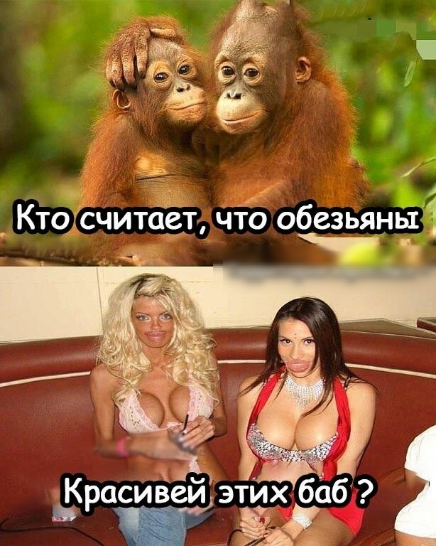 _ КтшСчитбЁі Йо обезьяньіі расИвей этих баб