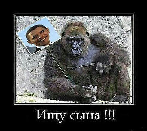 Ищу сына