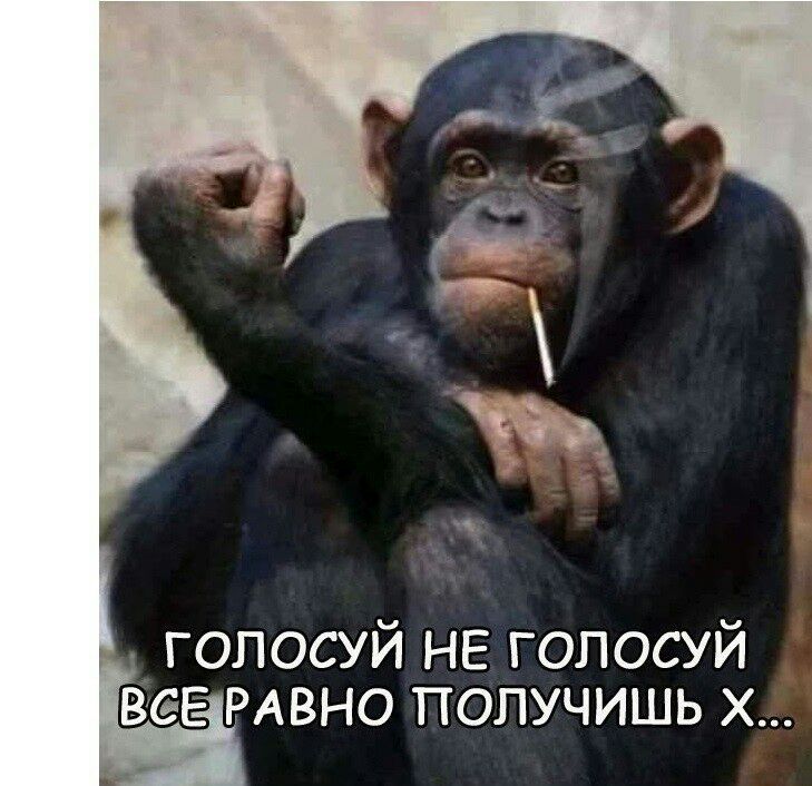 голосуй НЕ голосуй веЕ РАВНО получишь х