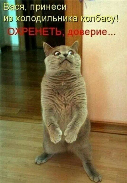 япринеси олодипьника опбасу ерие