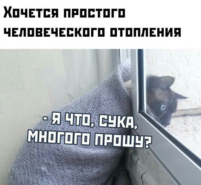 ХПЧЕТБП ПРППТПГП ЧЕЛПВЕЧЕПКПГП ПТПППЕНИП
