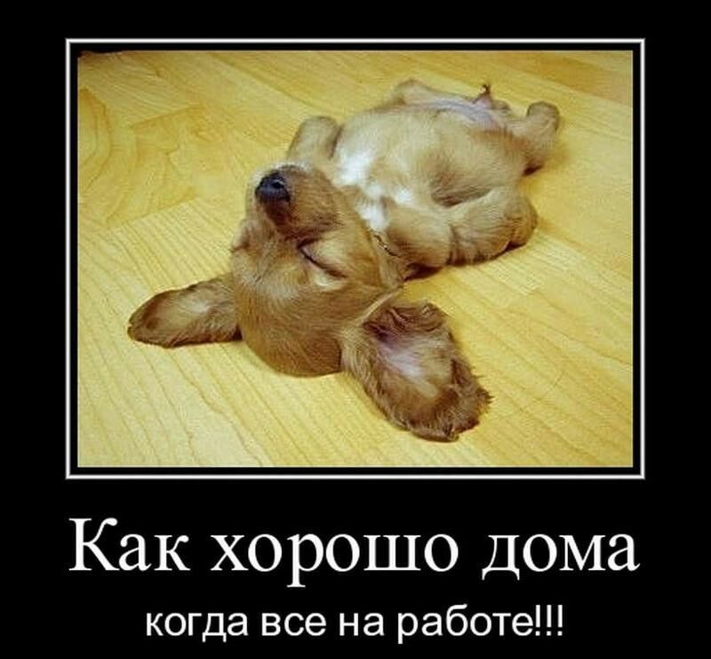 Как хорошо дома когда все на работе