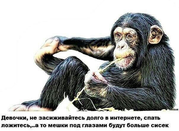 депчки не засиживайтесь долго в интернете спать ножниц то мешки под глазами буди больше сисек