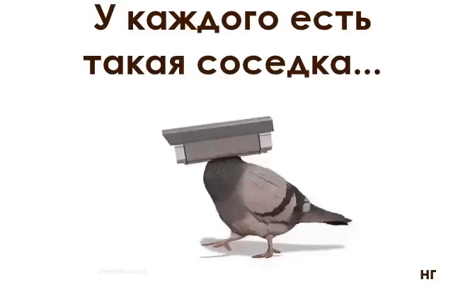 У каждого есть такая соседка НГ