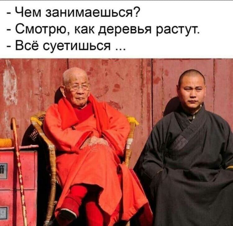 Чем занимаешься Смотрю как деревья растут Всё суетишься и