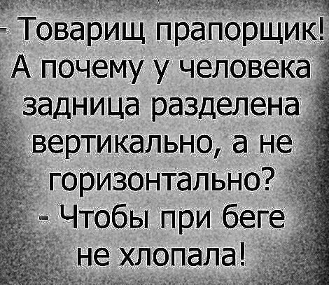 Товарищ пранорщикЁ А почему у человека задница разделена вертикально а не горизонтально _ Чтобы при беге не хлопала