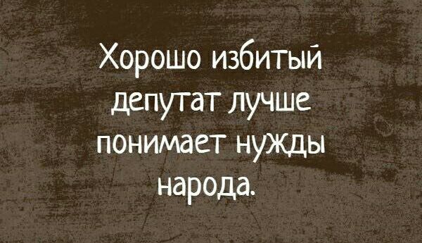 Хорошо избитый депутат лучше понимает нужцы народа