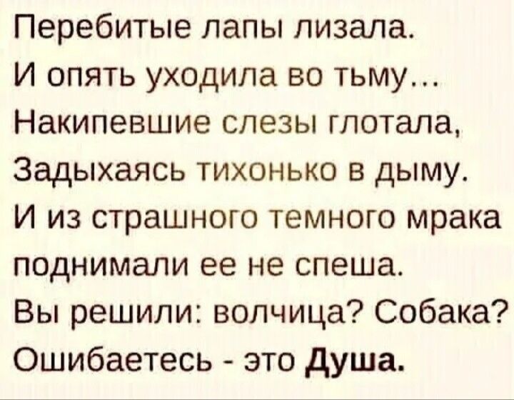 Перебитые лапы лизала И опять уходила во тьму Накипевшие слезы глотала Задыхаясь тихонько в дыму И из страшного темного мрака поднимали ее не спеша Вы решили волчица Собака Ошибаетесь это душа