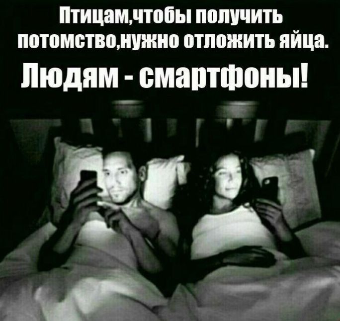Птицам чтобы получить потомство нужно отложить яйца 9 38 1