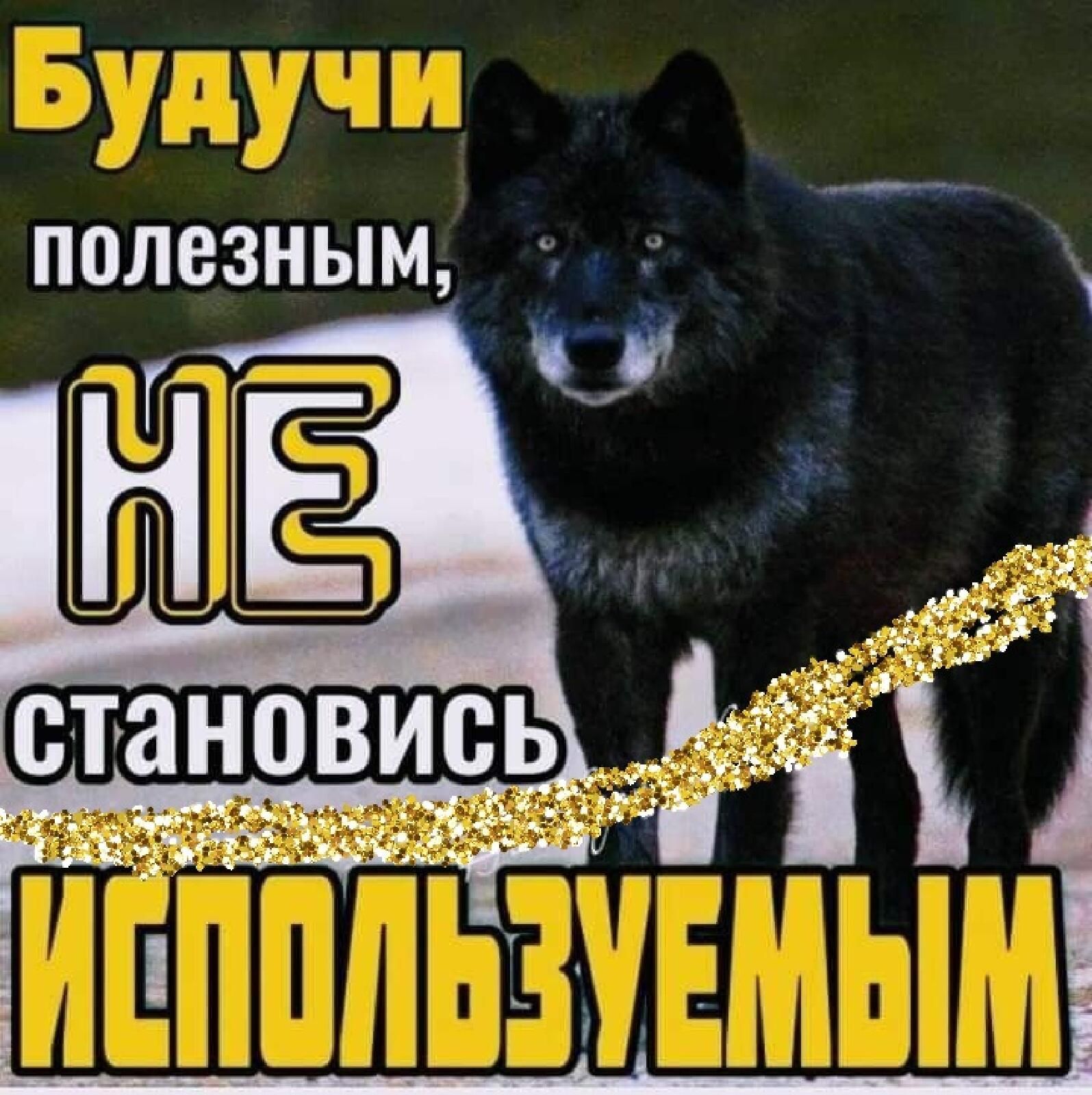 Полезным,  :