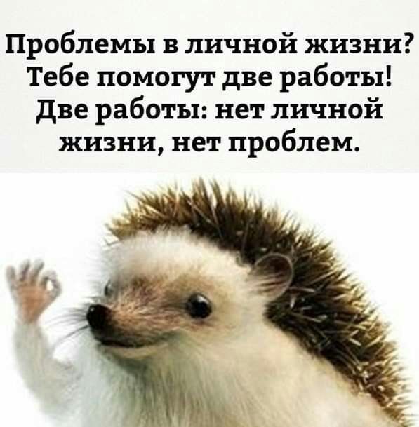 Проблемы в личной жизни Тебе помогут две работы две работы нет личной жизни нет проблем 11
