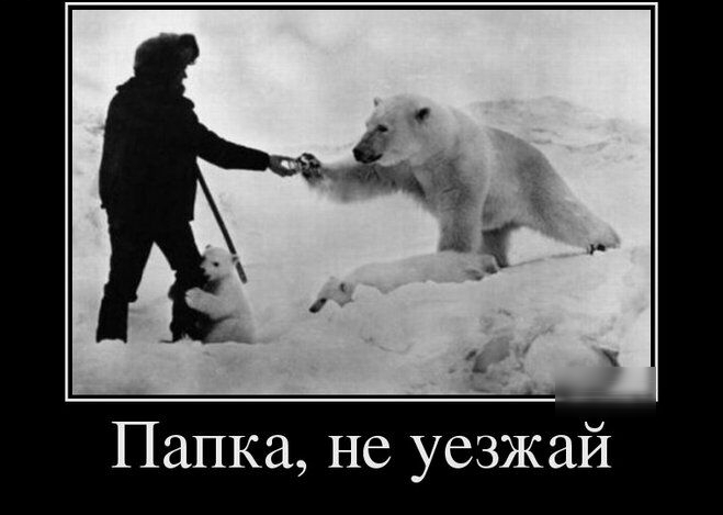 Папка не уезжай