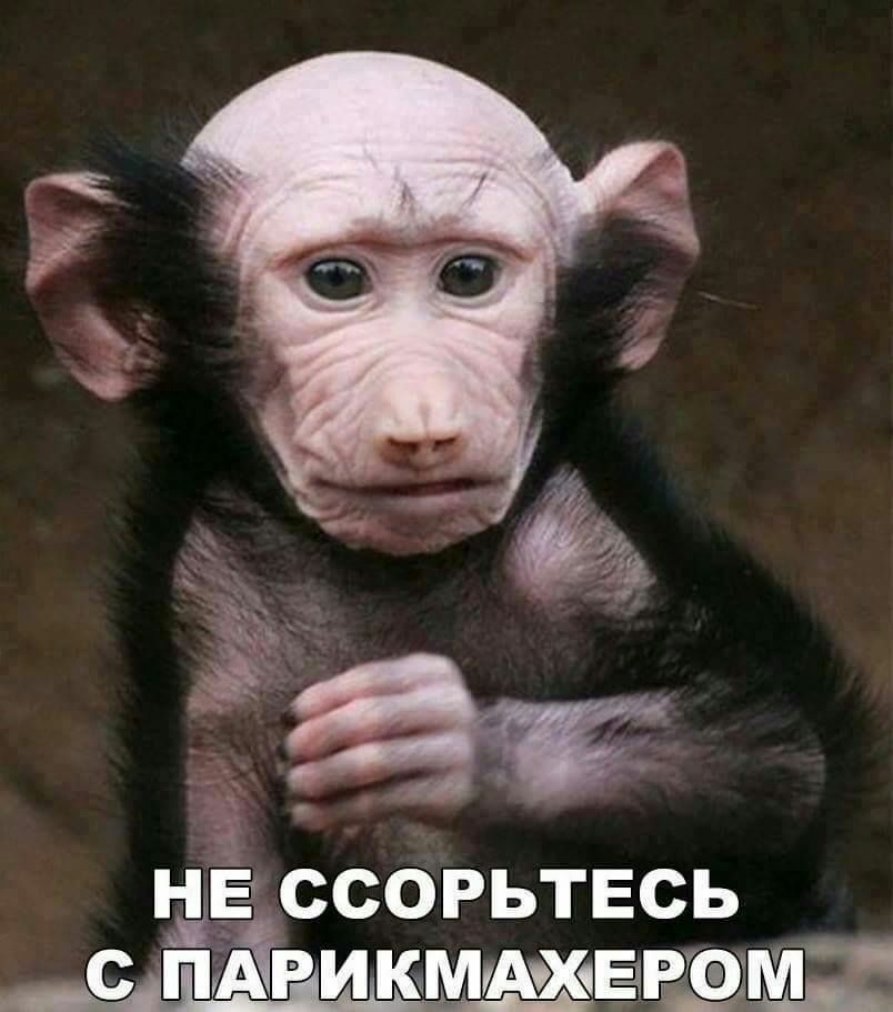 5 _ ндЁ ссорьтвсь _сдп д ни к мщх ЁРЁМЧ