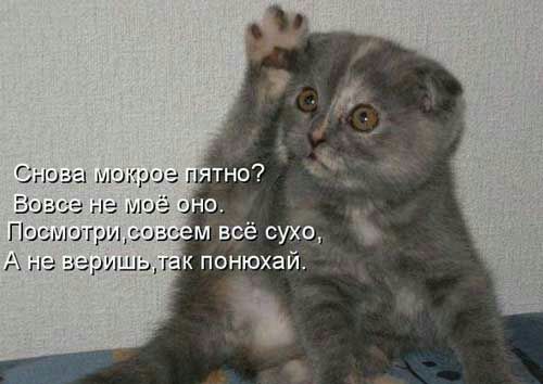 Пишишгридэз А не зэришьд