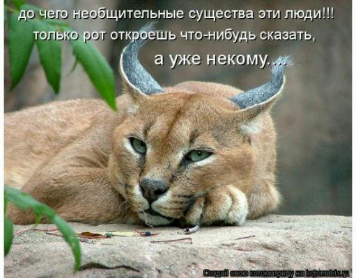 др ч щитепьные существа эти люди ь чтонибудь сказать а уже некому