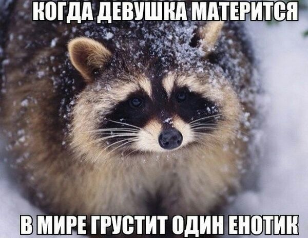 МДА дЕВУШИПММЕГИЁЯ г В МИРЕ ГРУСТИТ один ЕШПИН