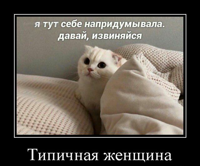 Типичная женщина