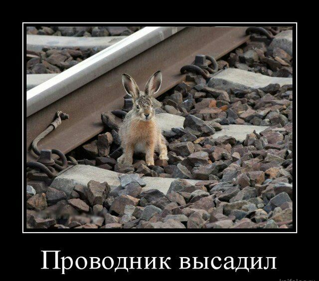 Проводник высадил