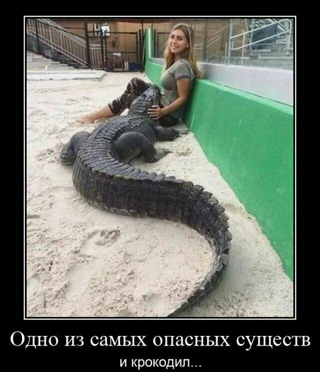 ОДНО ИЗ СМЫХ ОПЗСНЫХ СУЩССТВ И КРОКОДИП