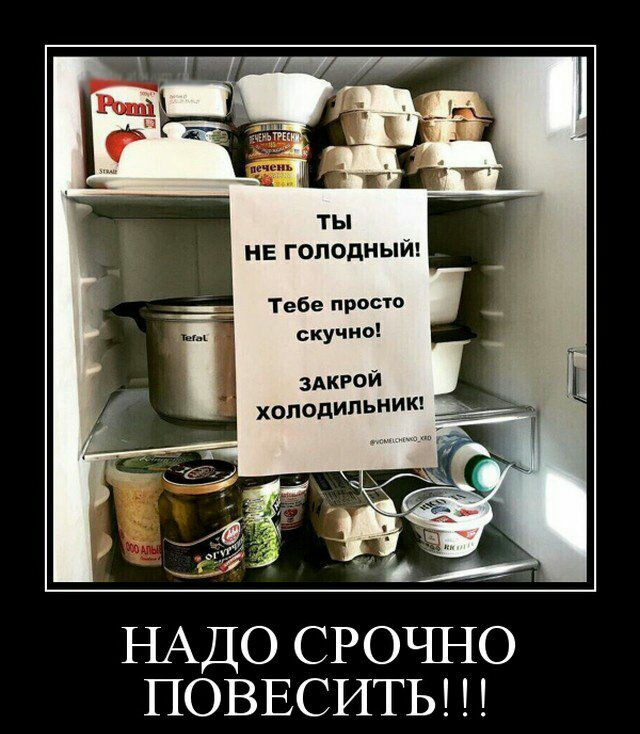 ты НЕ ГОПОДНЫЙ Тебе прост скучно здкгой холодильниК НАДО СРОЪШО ПОВЕСИТЬ
