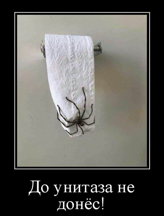 До унитаза не донёс