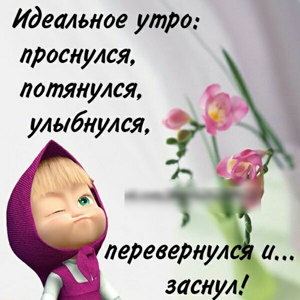 Идеальное утро проснулся потянулся улыбнулся перевернул а заснул