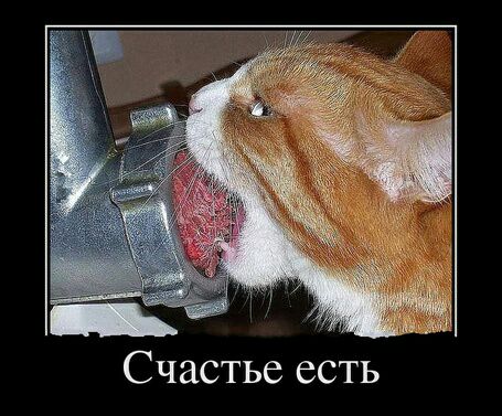 Счастье есть