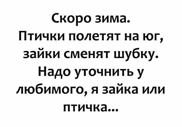 Скоро зима Птички полетят на юг зайки сменят шубку Надо уточнить у любимого я зайка или птичка