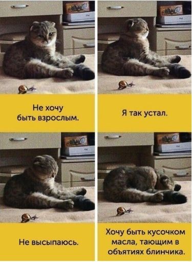 шп х мшы шт на
