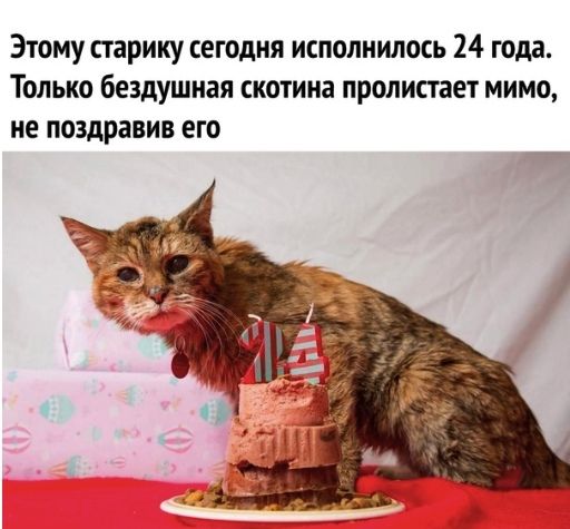 Этому старику сегодня исполнилось 24 года Только бездушная скотина пропистает мимо не поздравив его