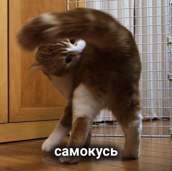 С