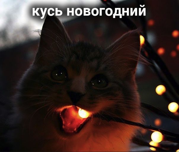 усёновогодний Р 12
