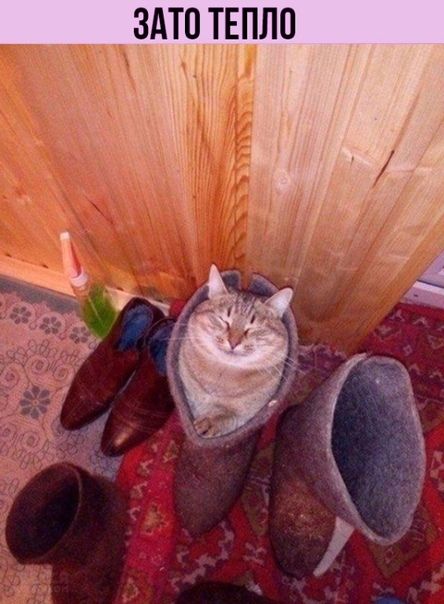 ЗАТОКТЕПЛО 13