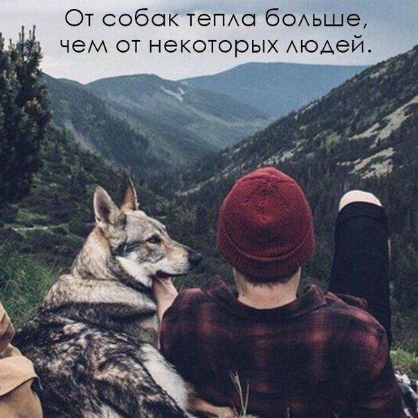 От собок теПАс бОАьше чем от некоторых Аюдей